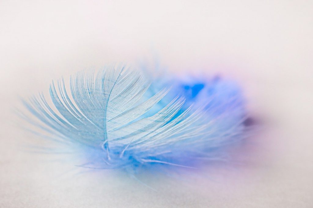 feather, plume, lightness